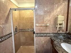 Dover Parkview (D5), Condominium #528931571